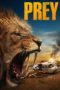 Prey (2024) Prey (2024)