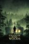 Stranger in the Woods (2024) Stranger in the Woods (2024)