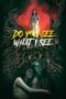 Do You See What I See (2024) Do You See What I See (2024)