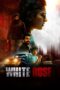 White Rose (2024) White Rose (2024)