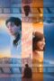 Under Parallel Skies (2024) Under Parallel Skies (2024)