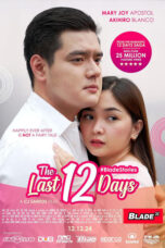 The Last 12 Days (2024)