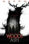 Woods of Ash (2025) Woods of Ash (2025)